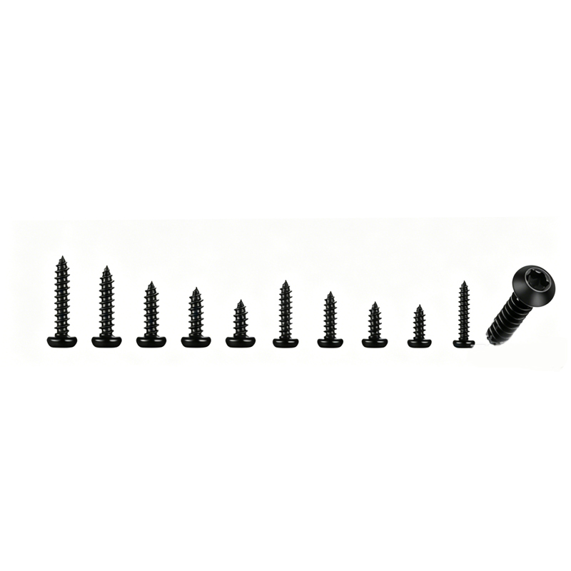 600 Pcs M2-M3 Black Torx Pan H - Furniture Hardware Repair 리뷰 및 가격