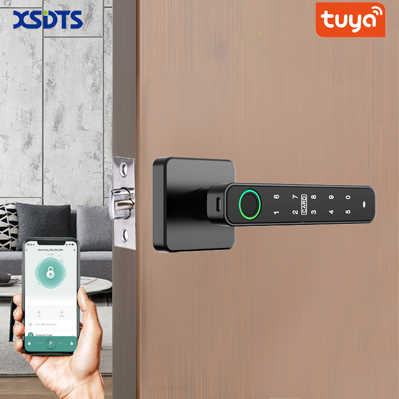 XSDTS Tuya Handle Fingerprint  - Door Handle Bar 리뷰 및 가격