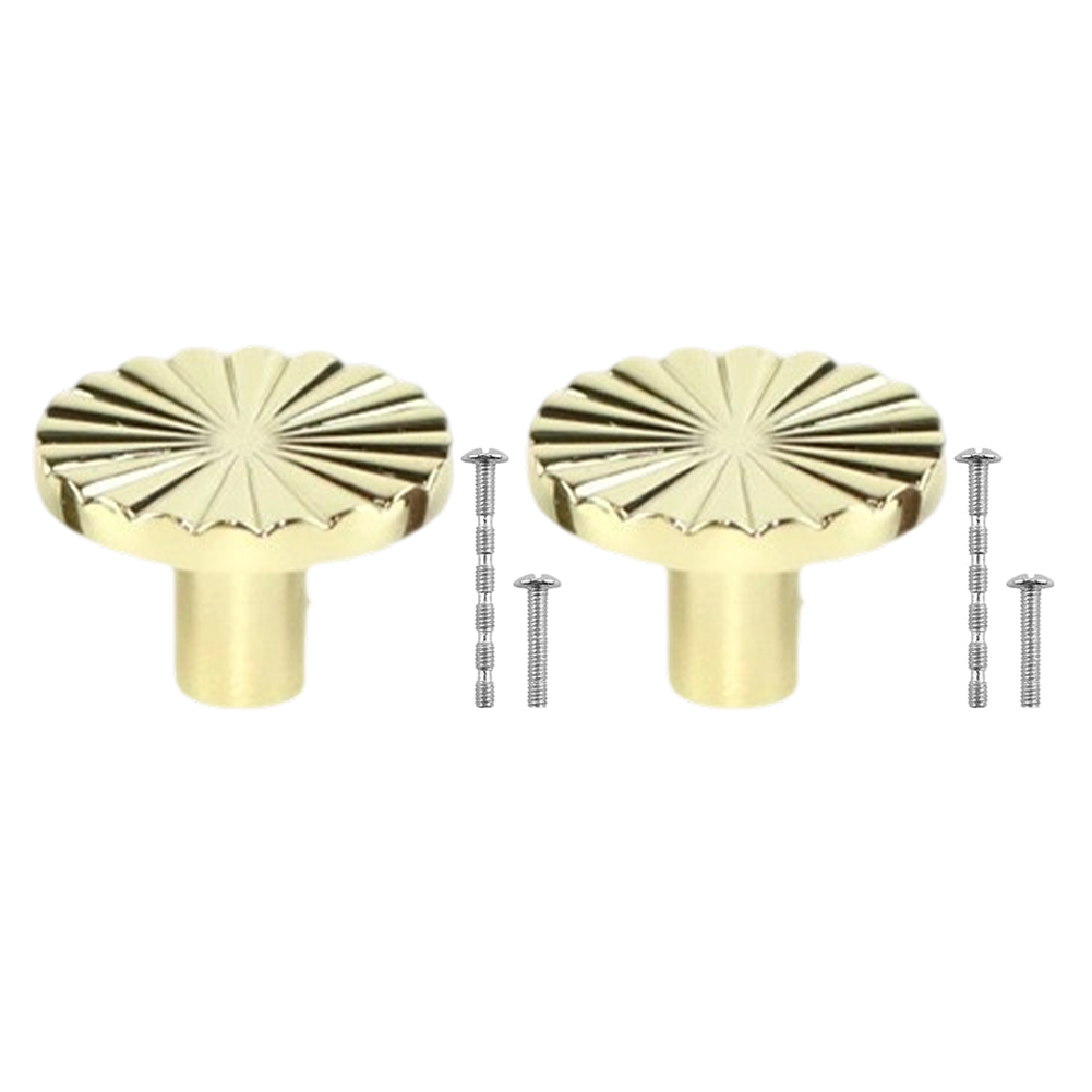 2PCS Retro Zinc Alloy Cabinet  - Furniture Hardware Gold 리뷰 및 가격