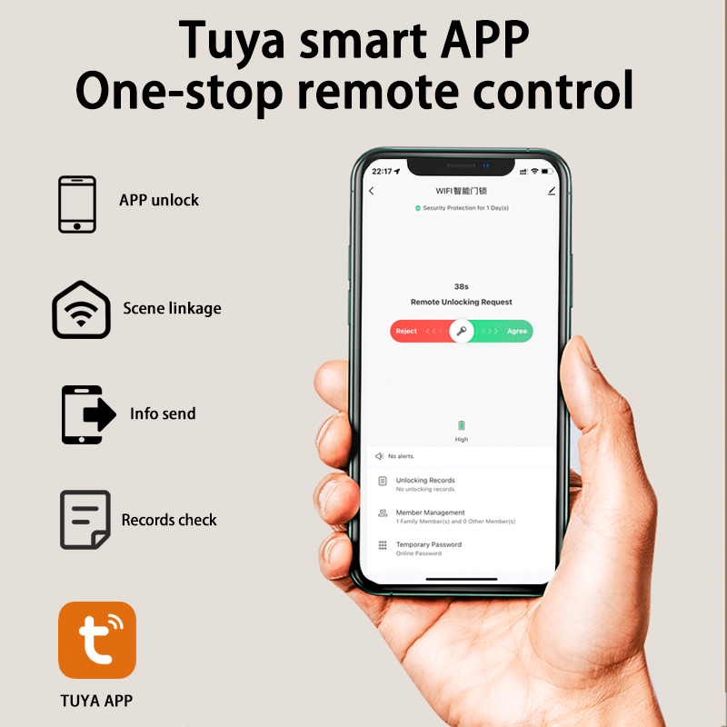 Tuya Smart Lock Wirelss With F - Door Handle Bar 리뷰 및 가격