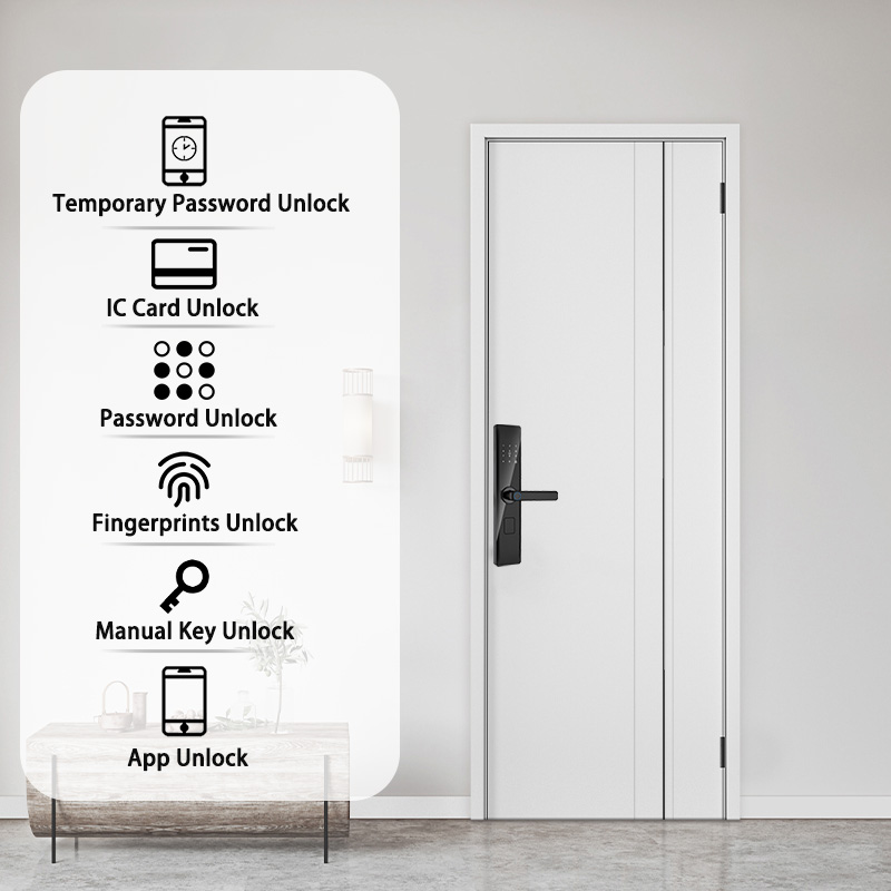 Tuya Smart Lock Wirelss With F - Door Handle Bar 리뷰 및 가격
